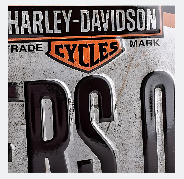 Metal Tin Signs Embossed Harley Davidson Riders Only 